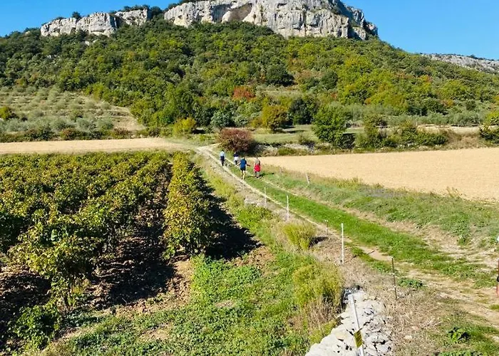 Villa Maison De Famille Avec Piscine, Nord Uzes